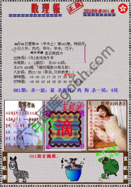 数理报