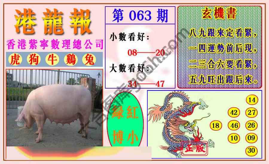 港龙报