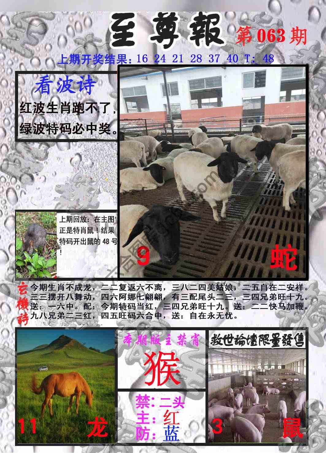 至尊报