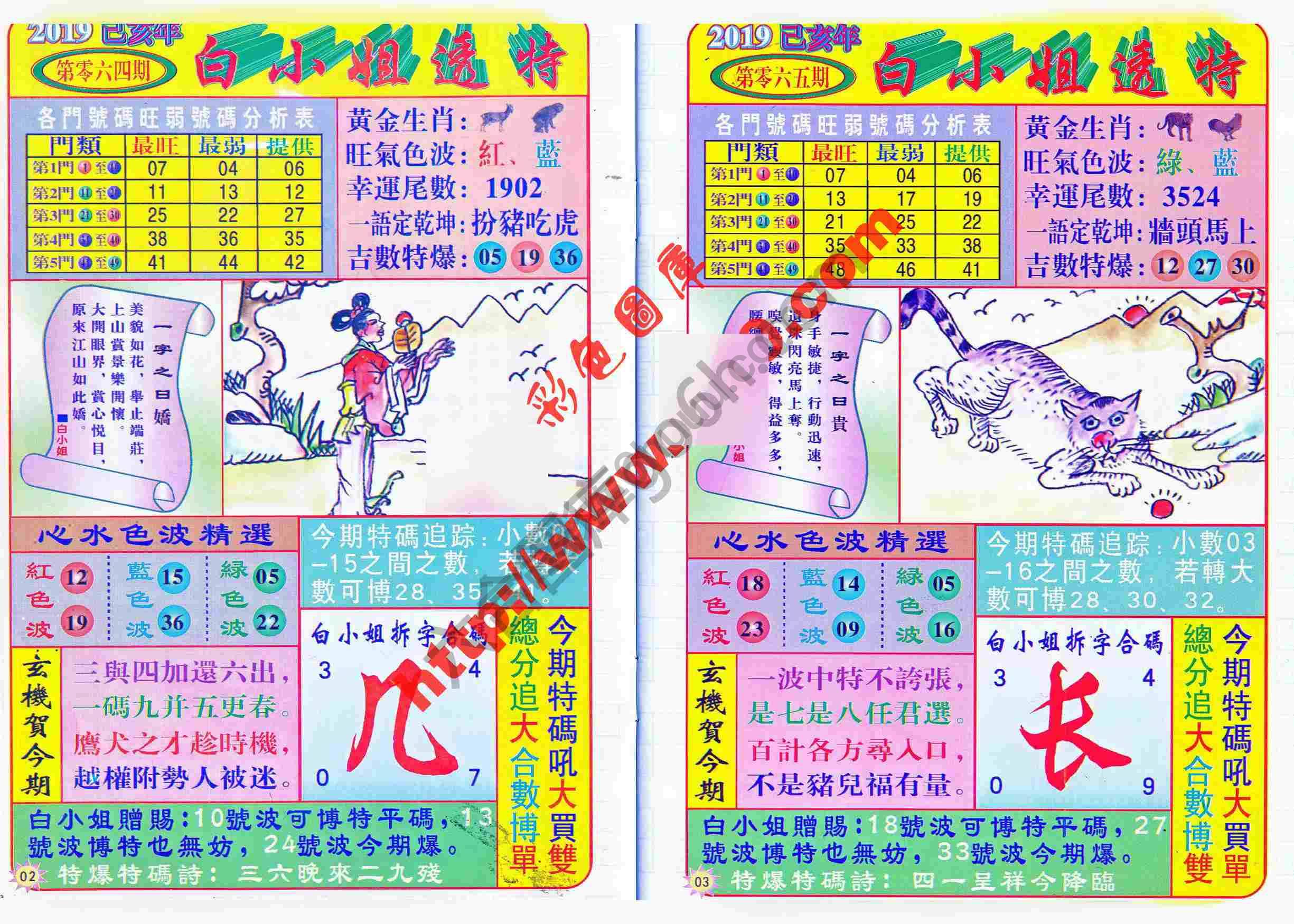 白小姐透特