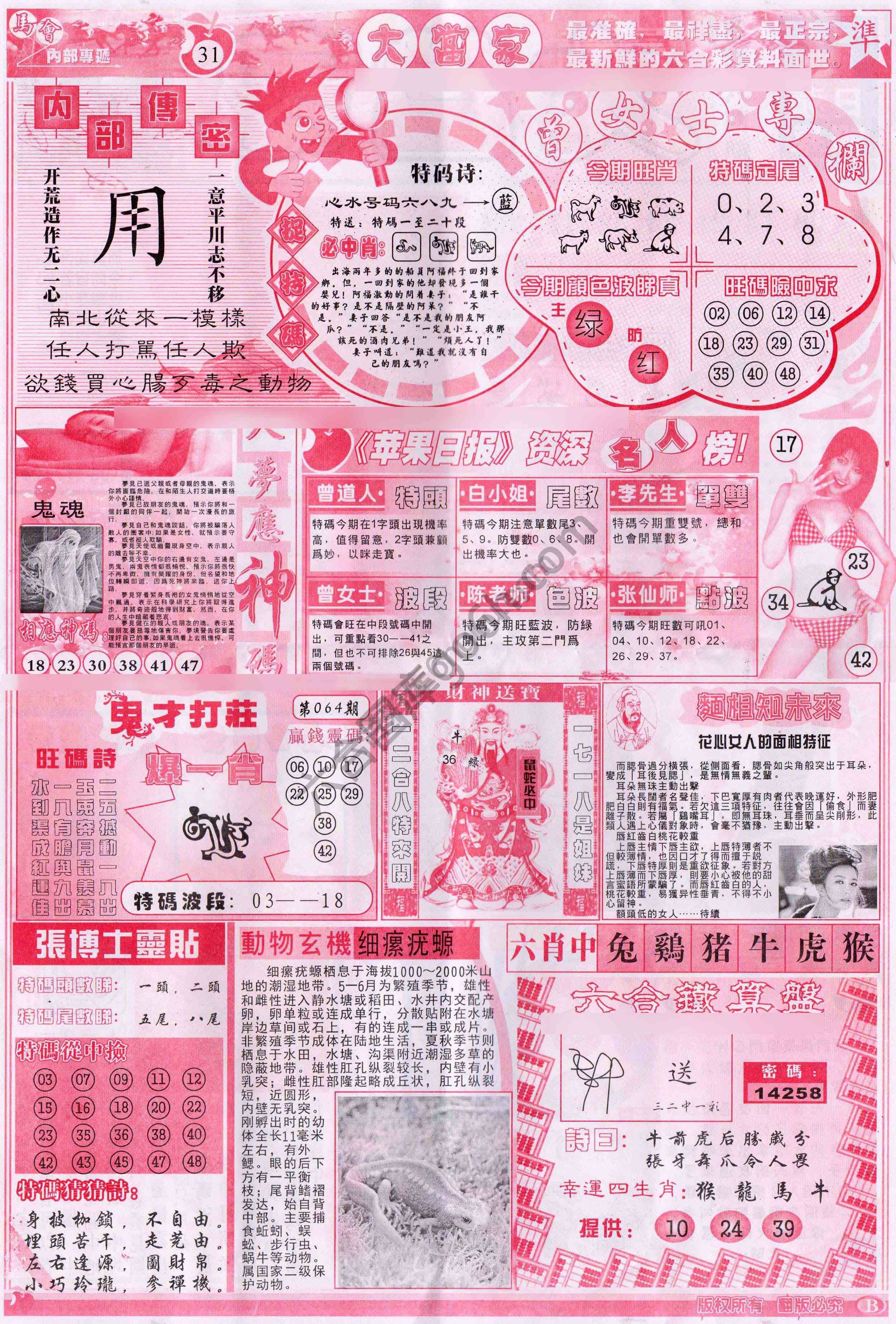 大当家