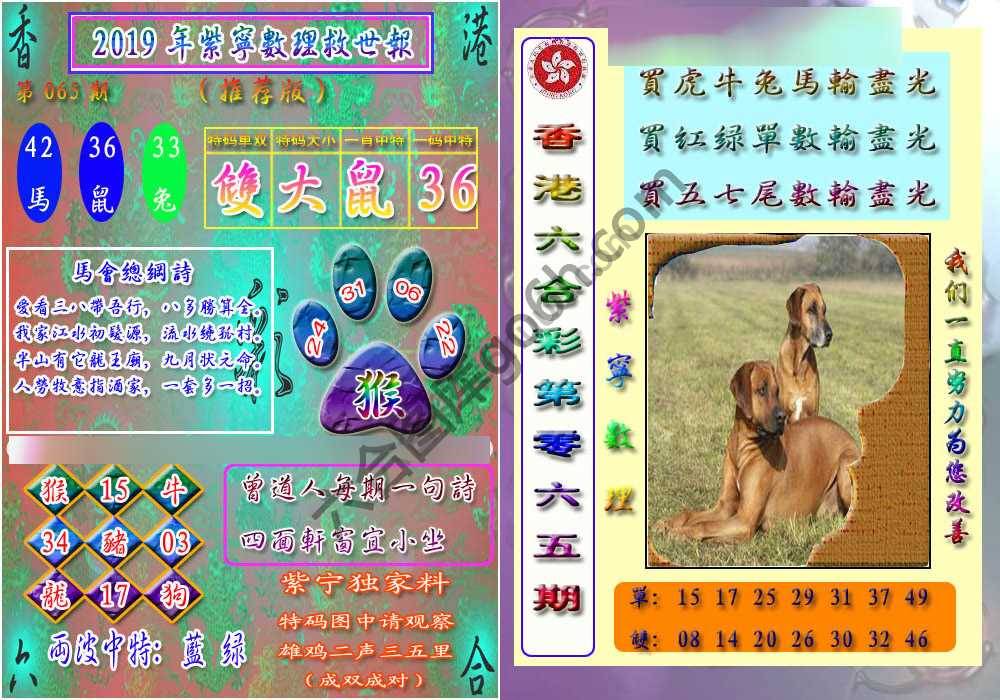 数理救世报