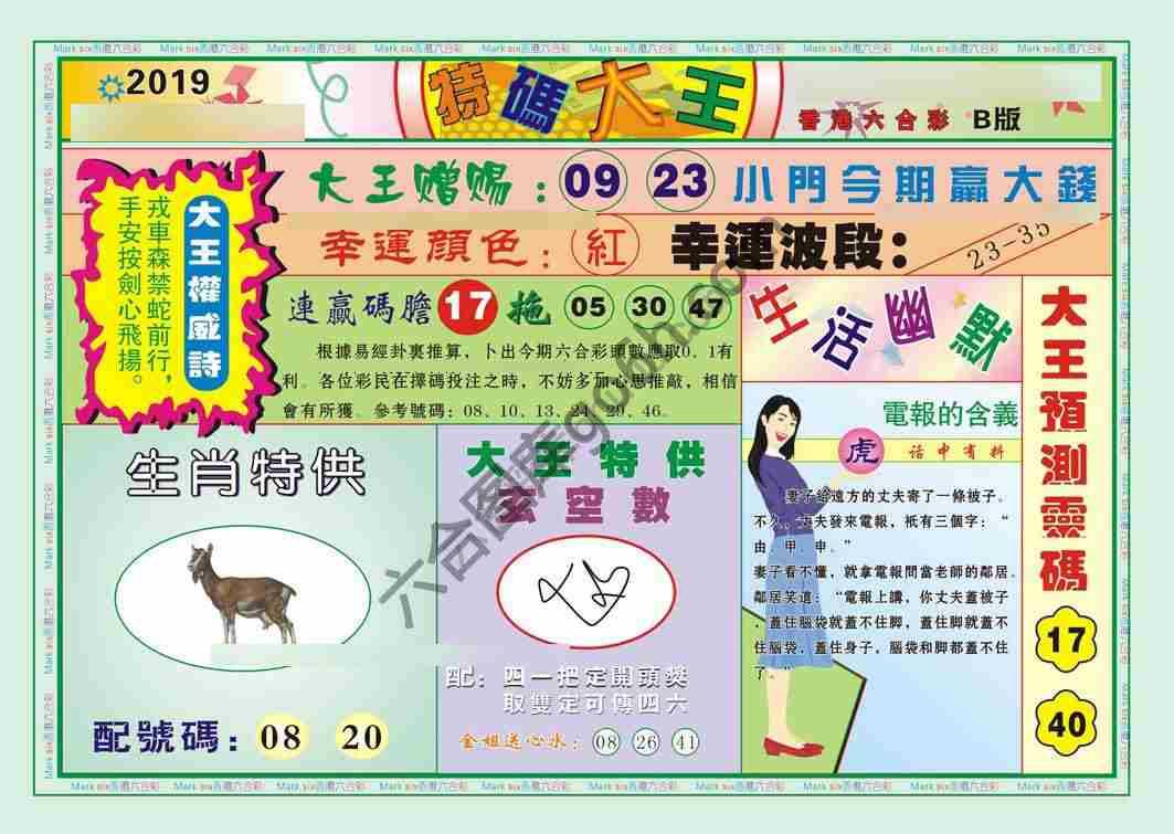 特码大王