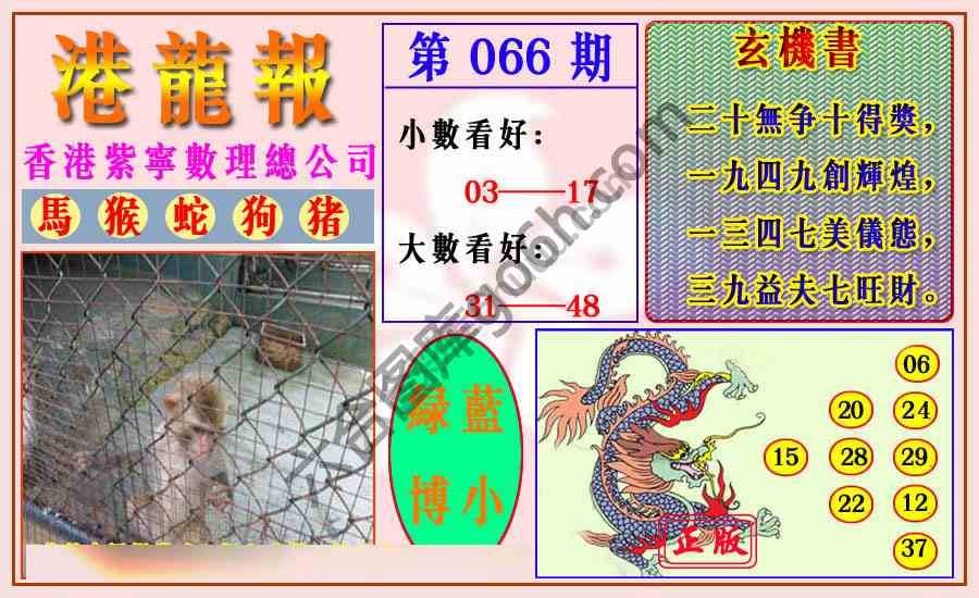 港龙报