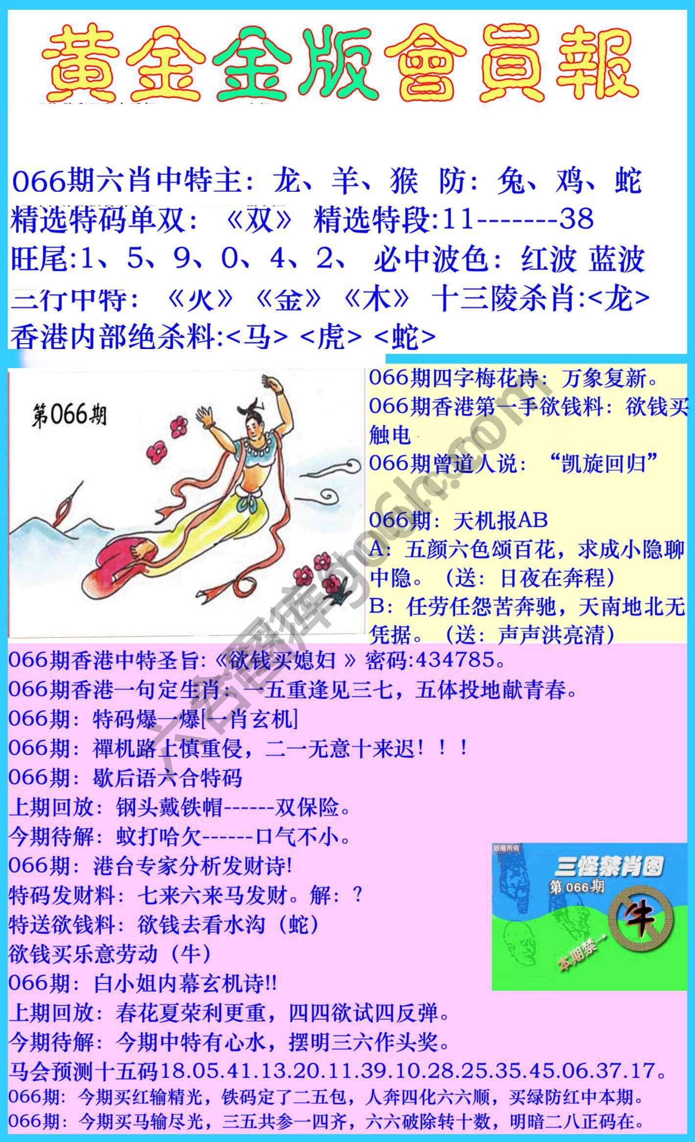黄金金版会员报