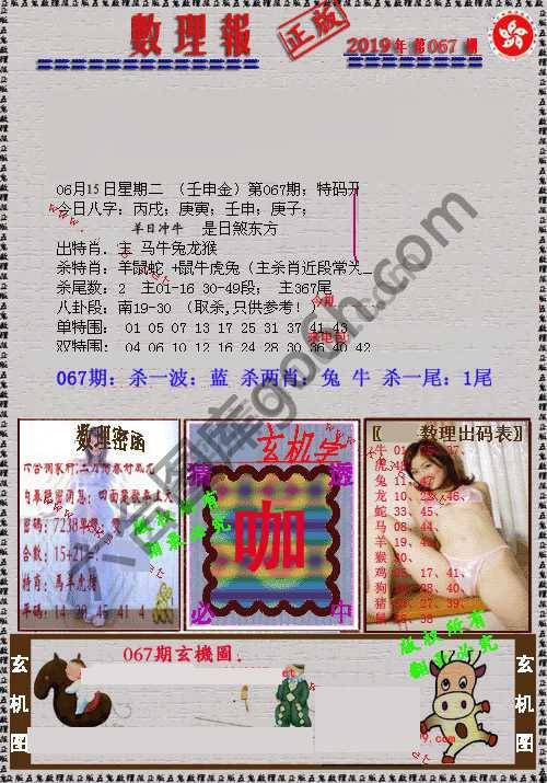 数理报
