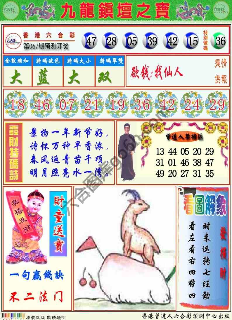 九龙挂牌解特码