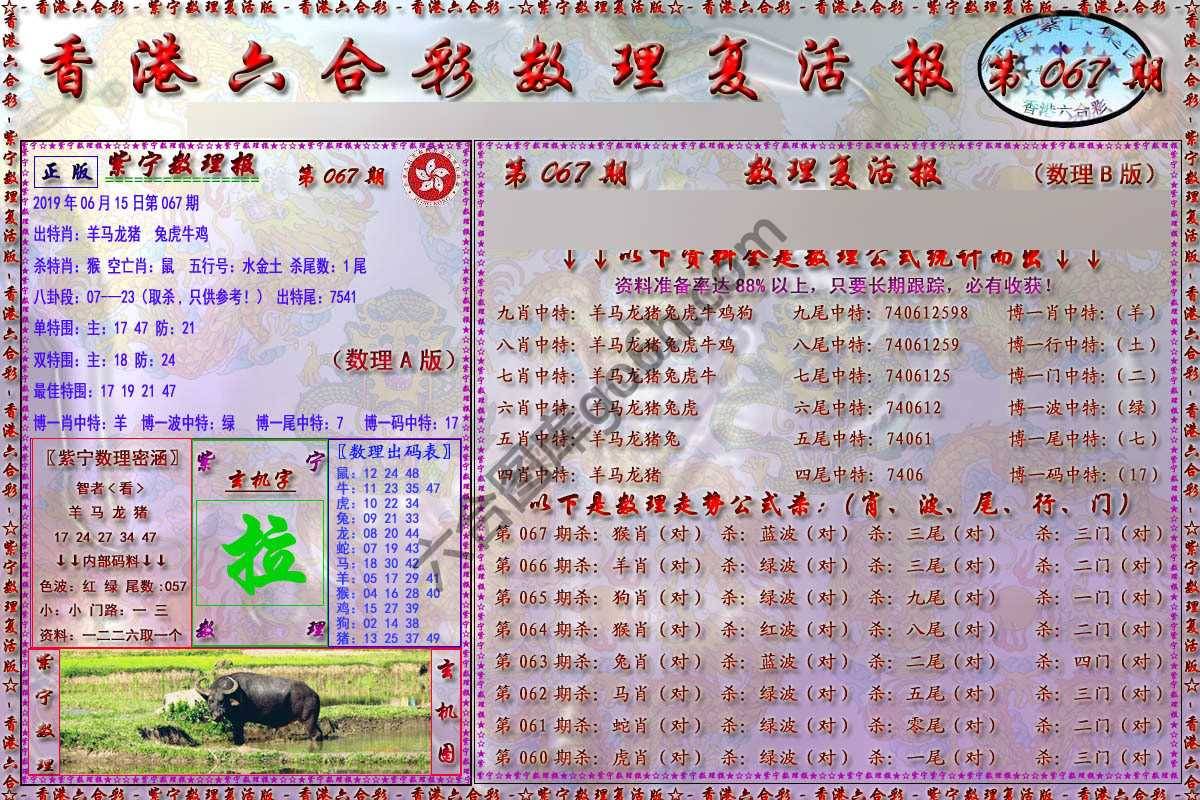 数理复活报