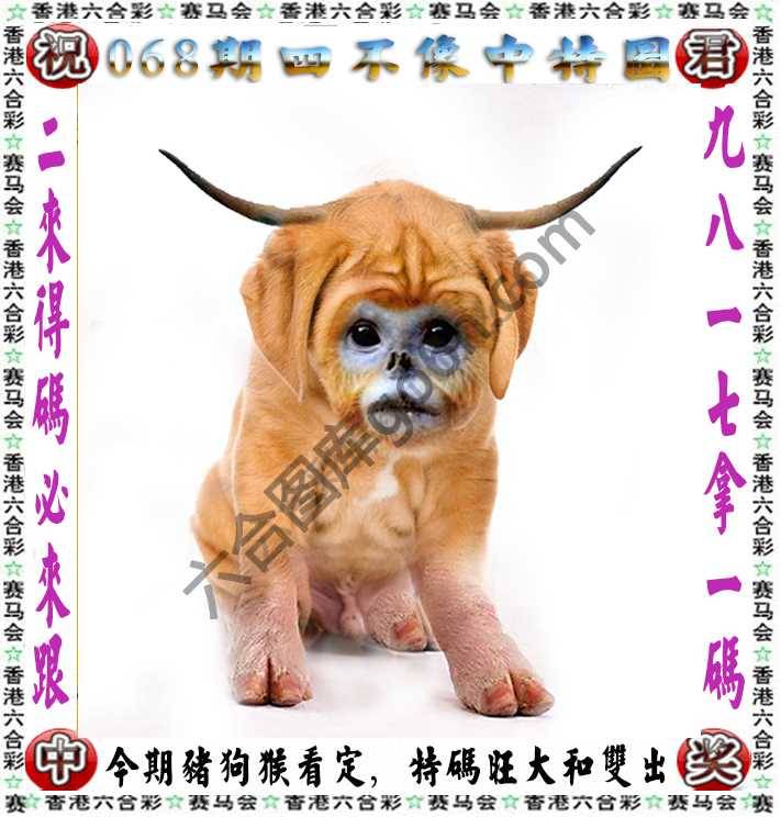 四不像中特图