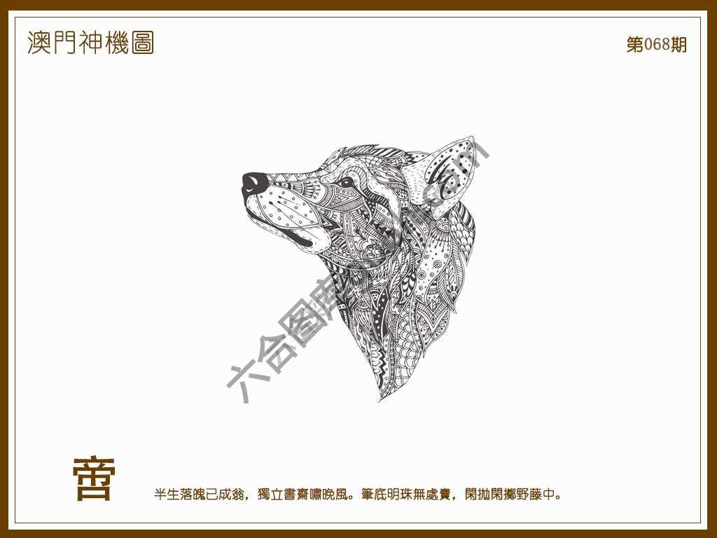 澳门神机图