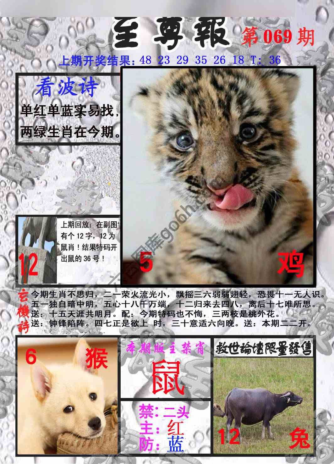 至尊报