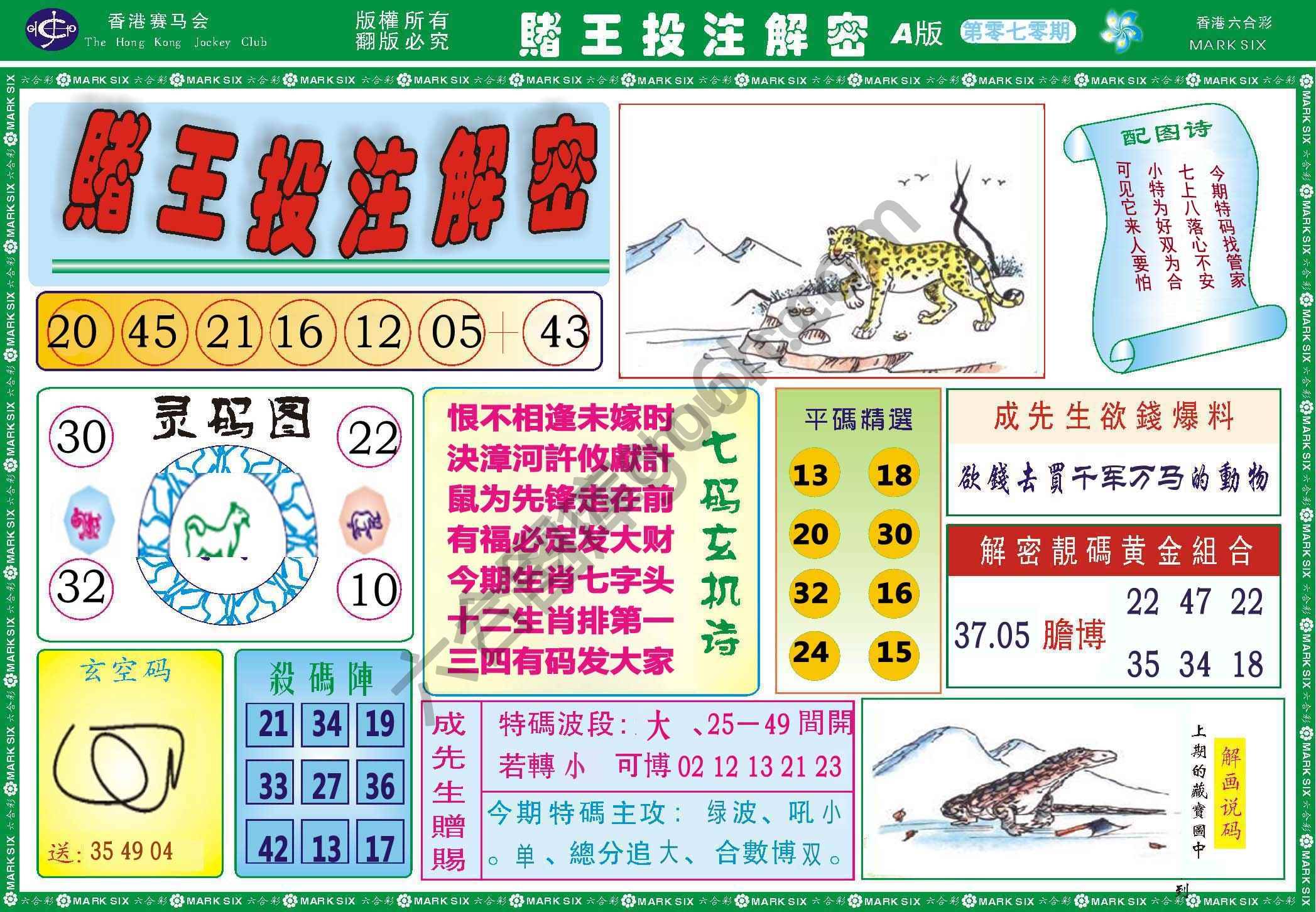 赌王投注解密