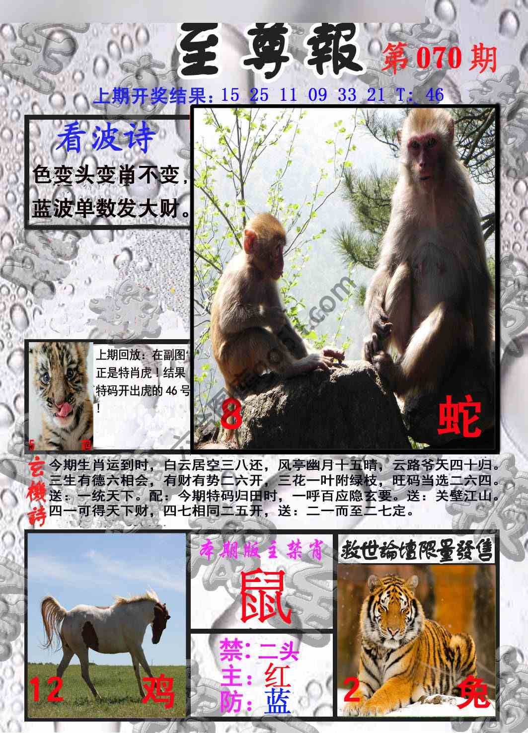 至尊报