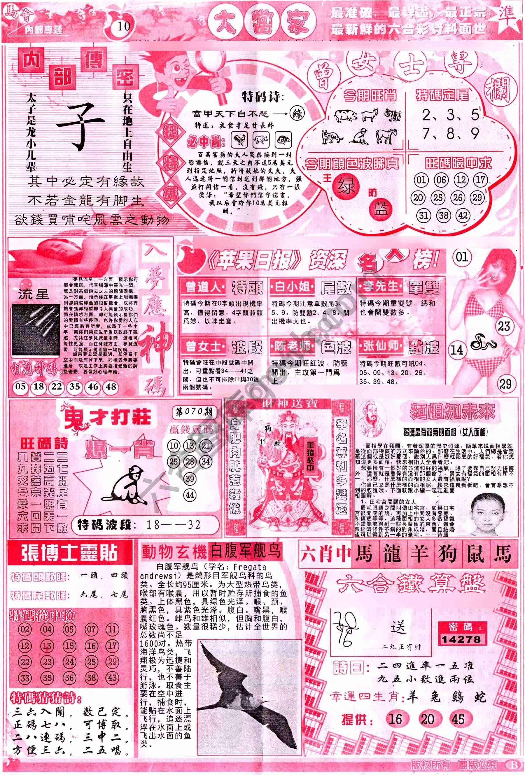 大当家