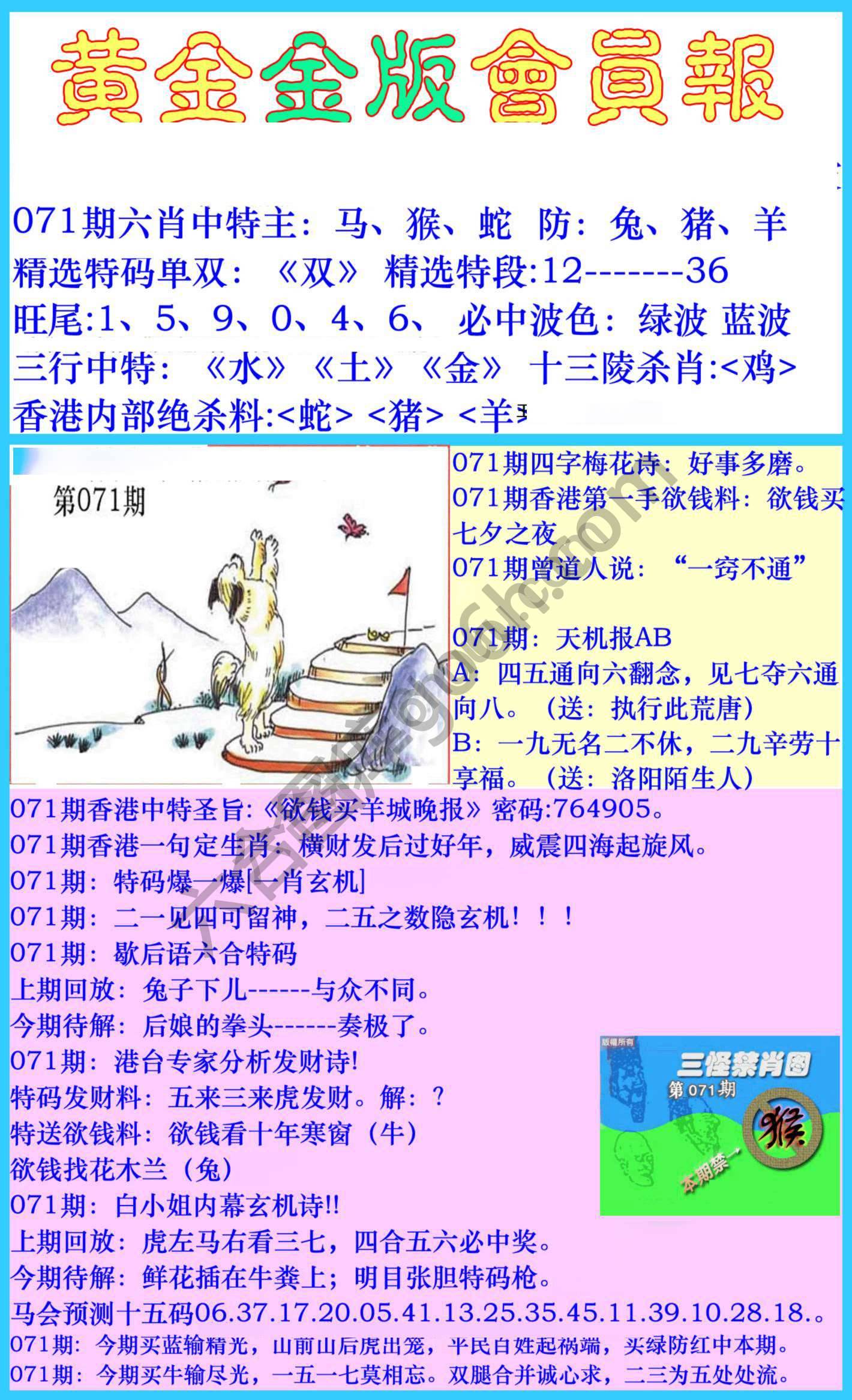 黄金金版会员报