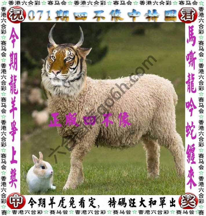 四不像中特图