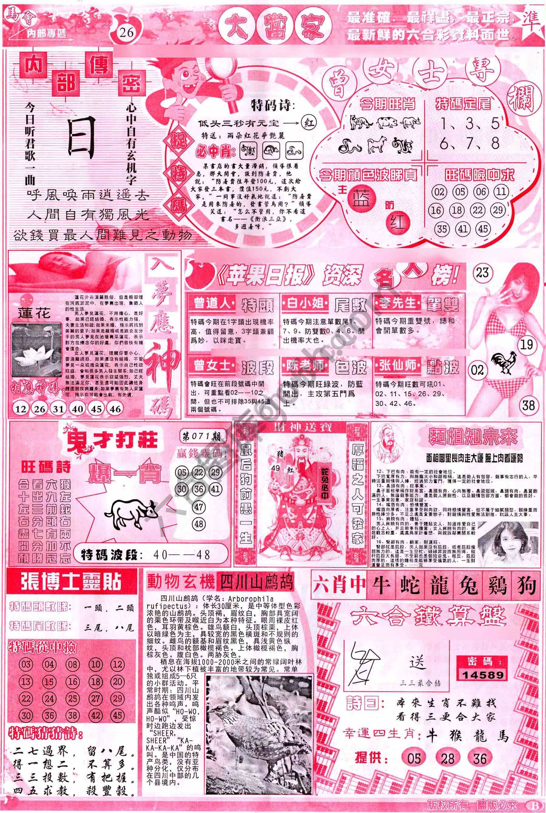 大当家