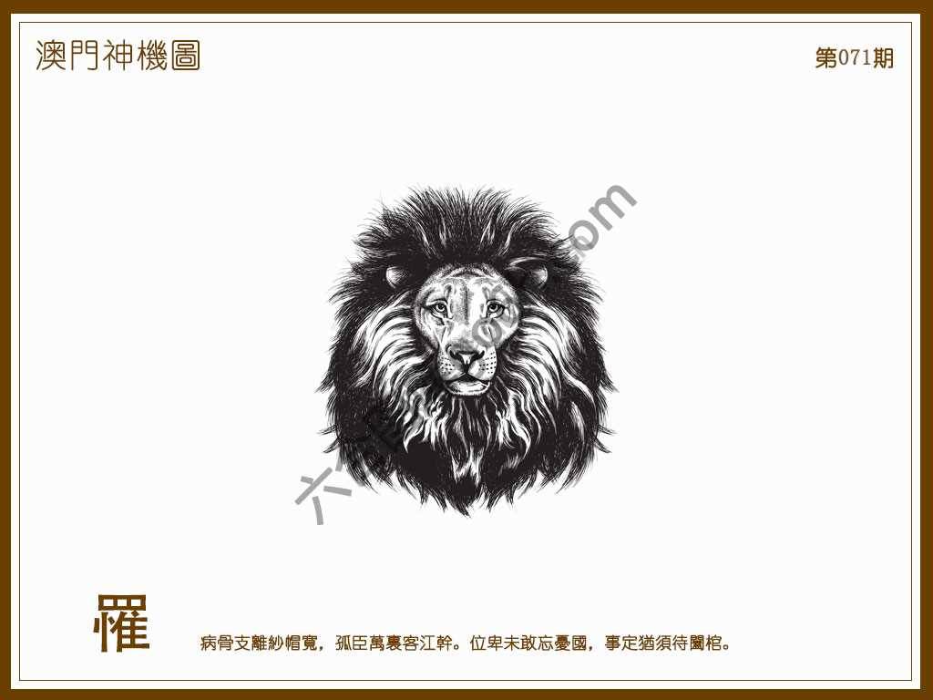 澳门神机图
