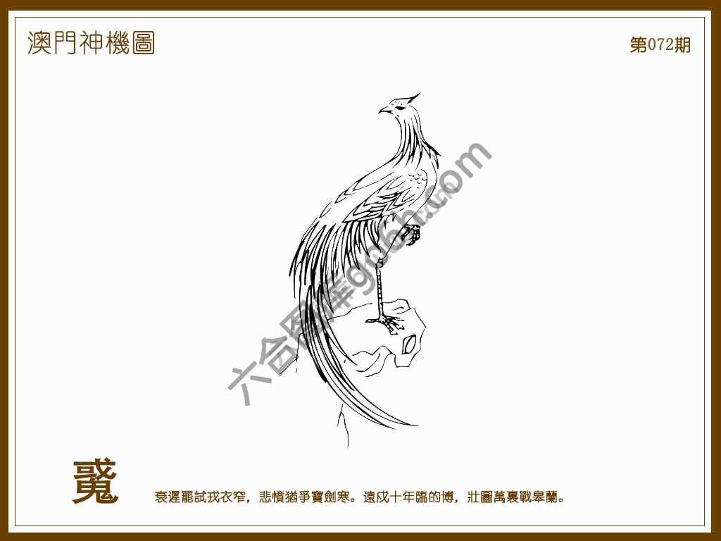 澳门神机图