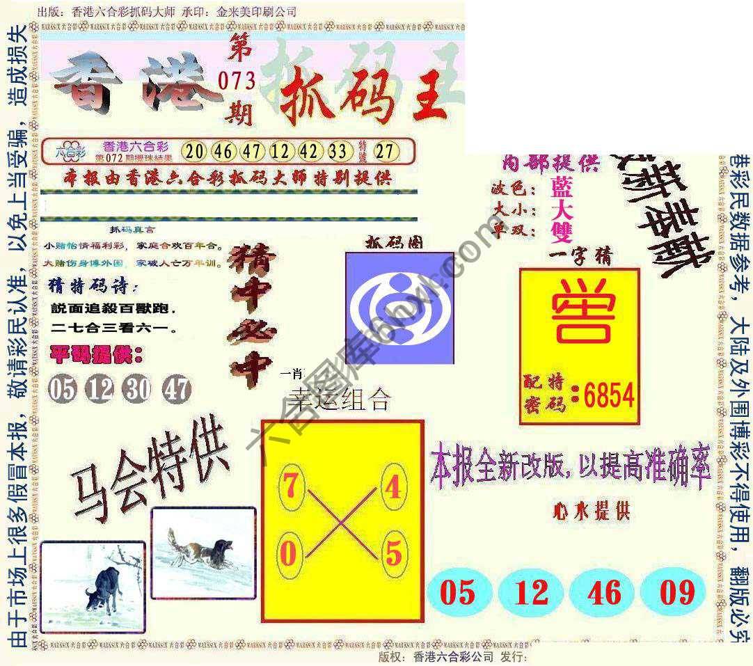 新抓码王