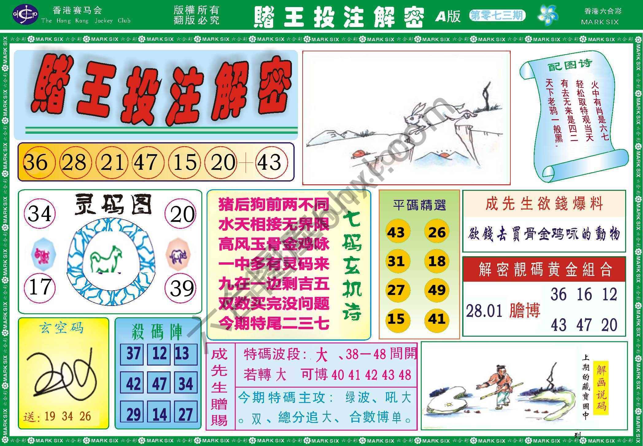 赌王投注解密