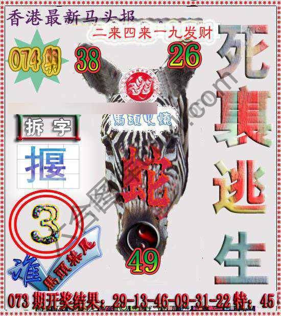 香港马头报