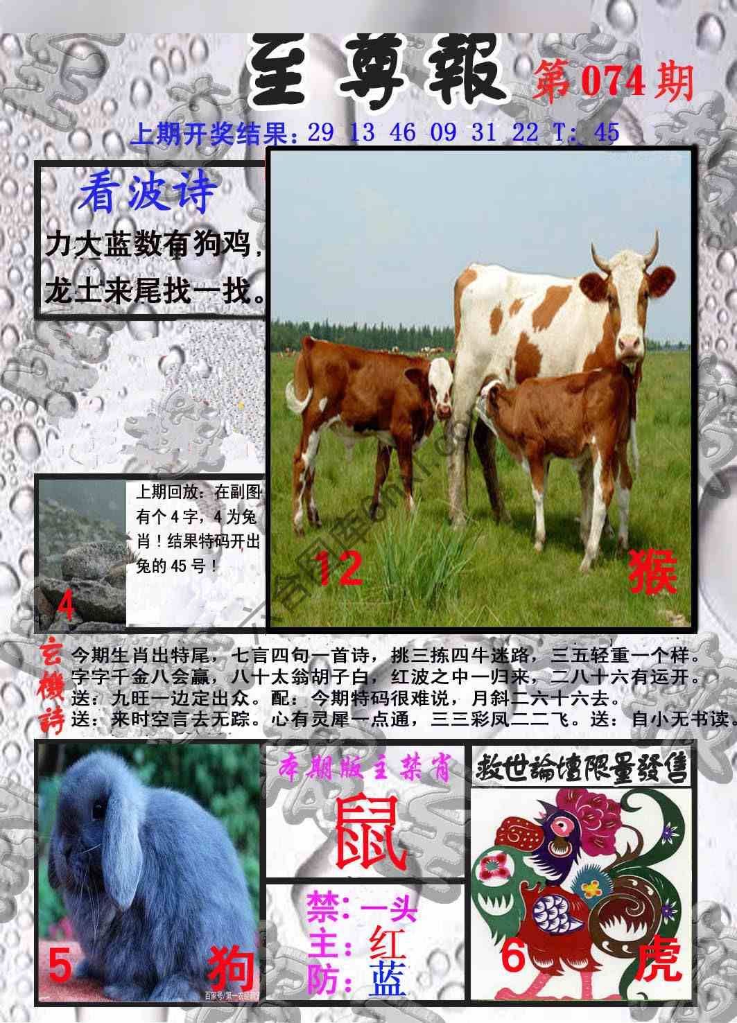 至尊报
