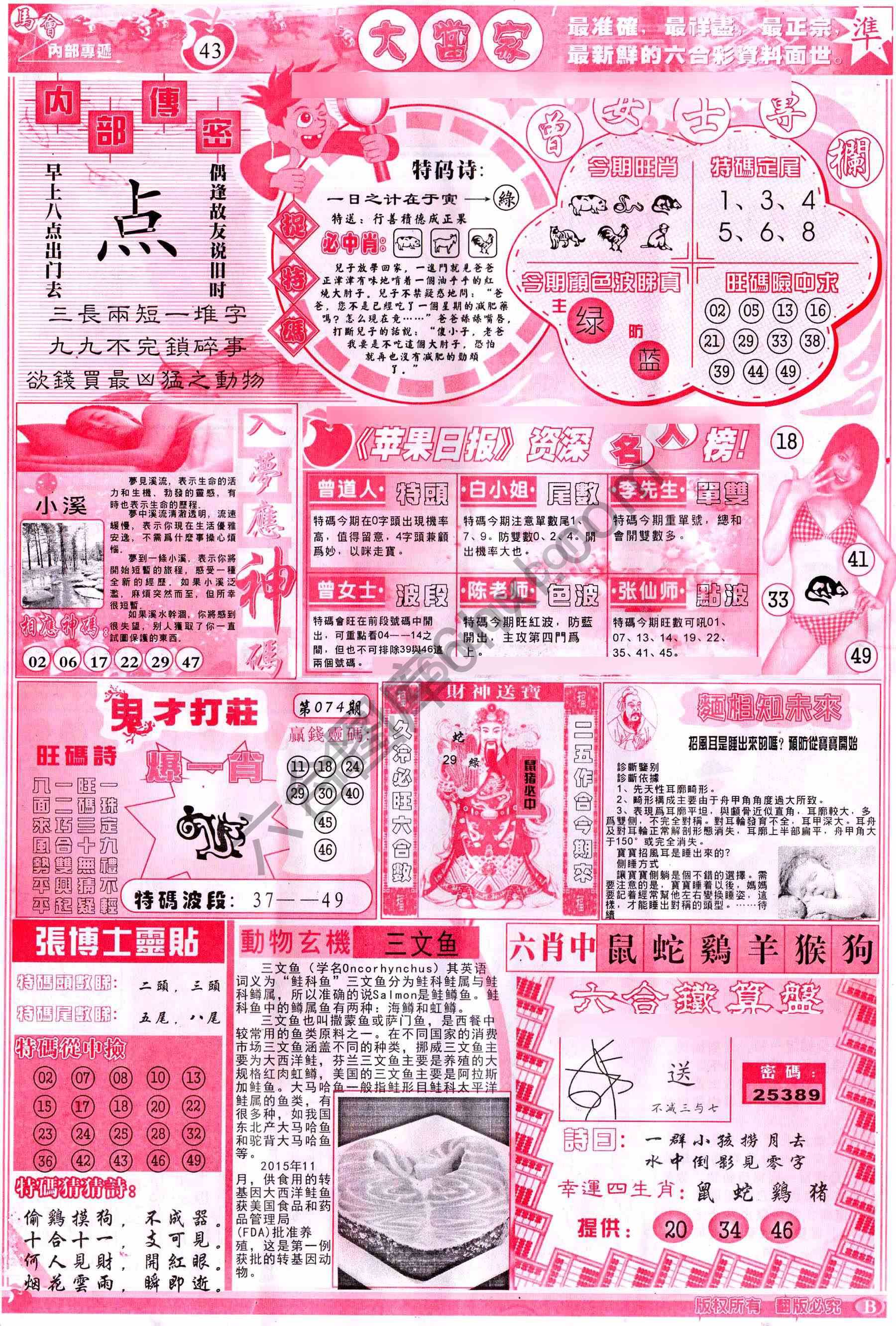 大当家
