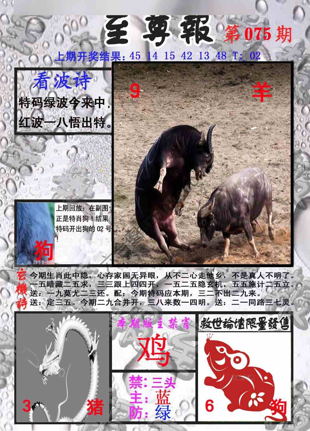 至尊报