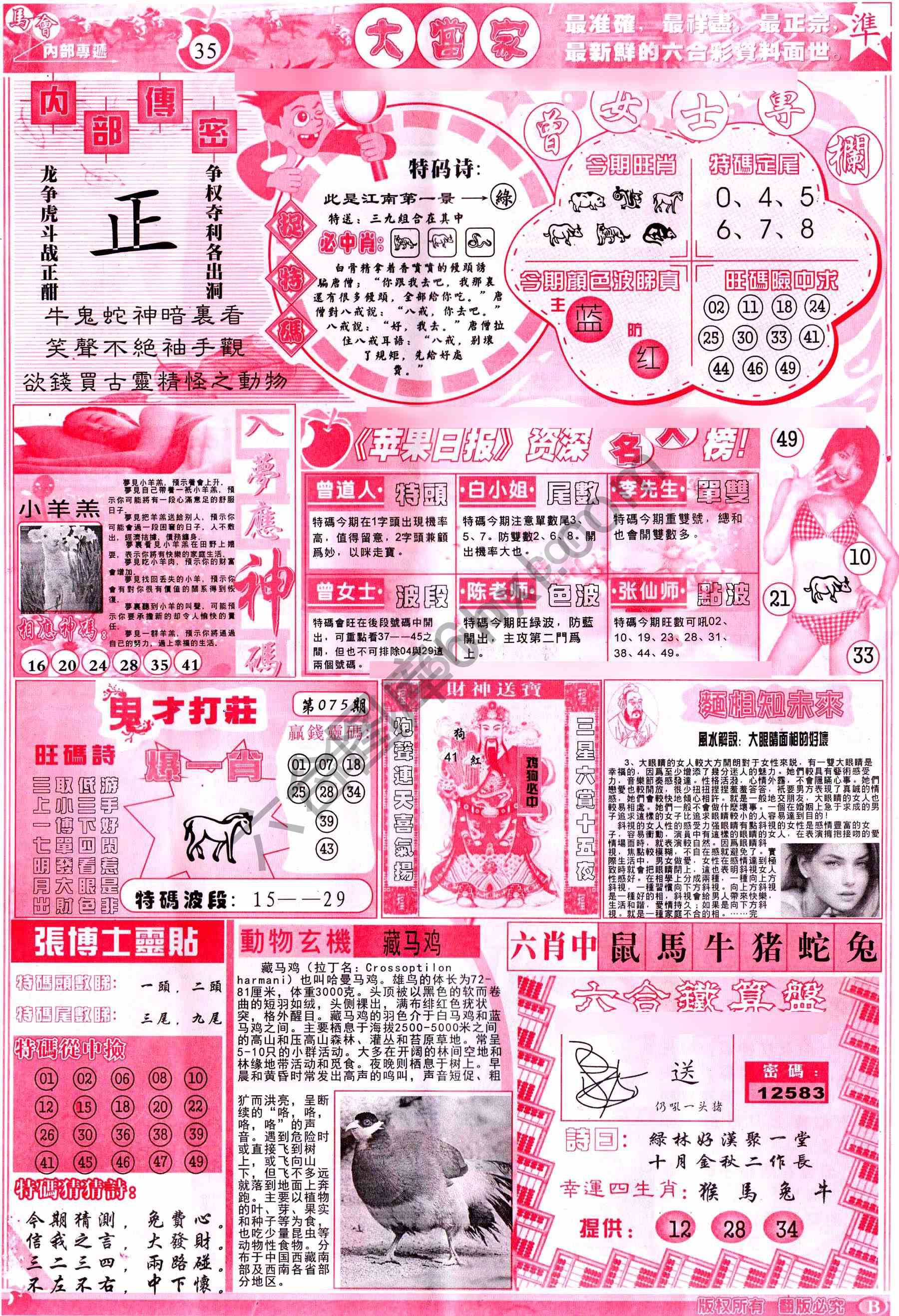大当家