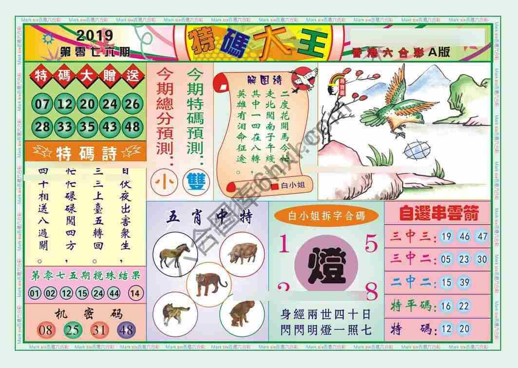 特码大王