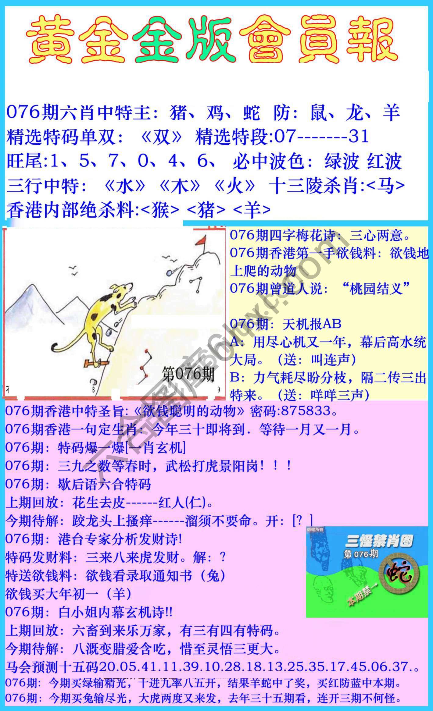 黄金金版会员报