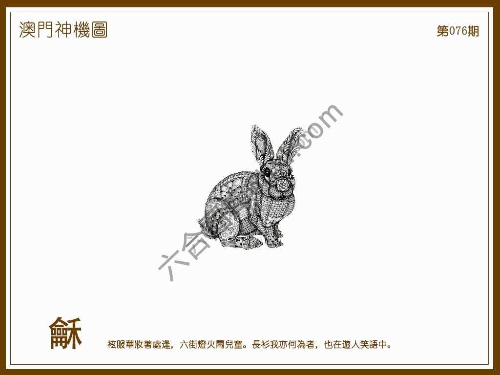 澳门神机图