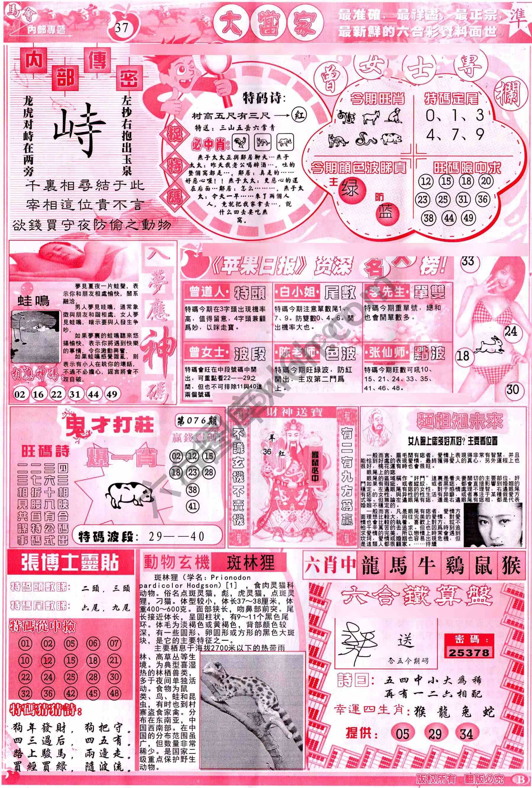 大当家