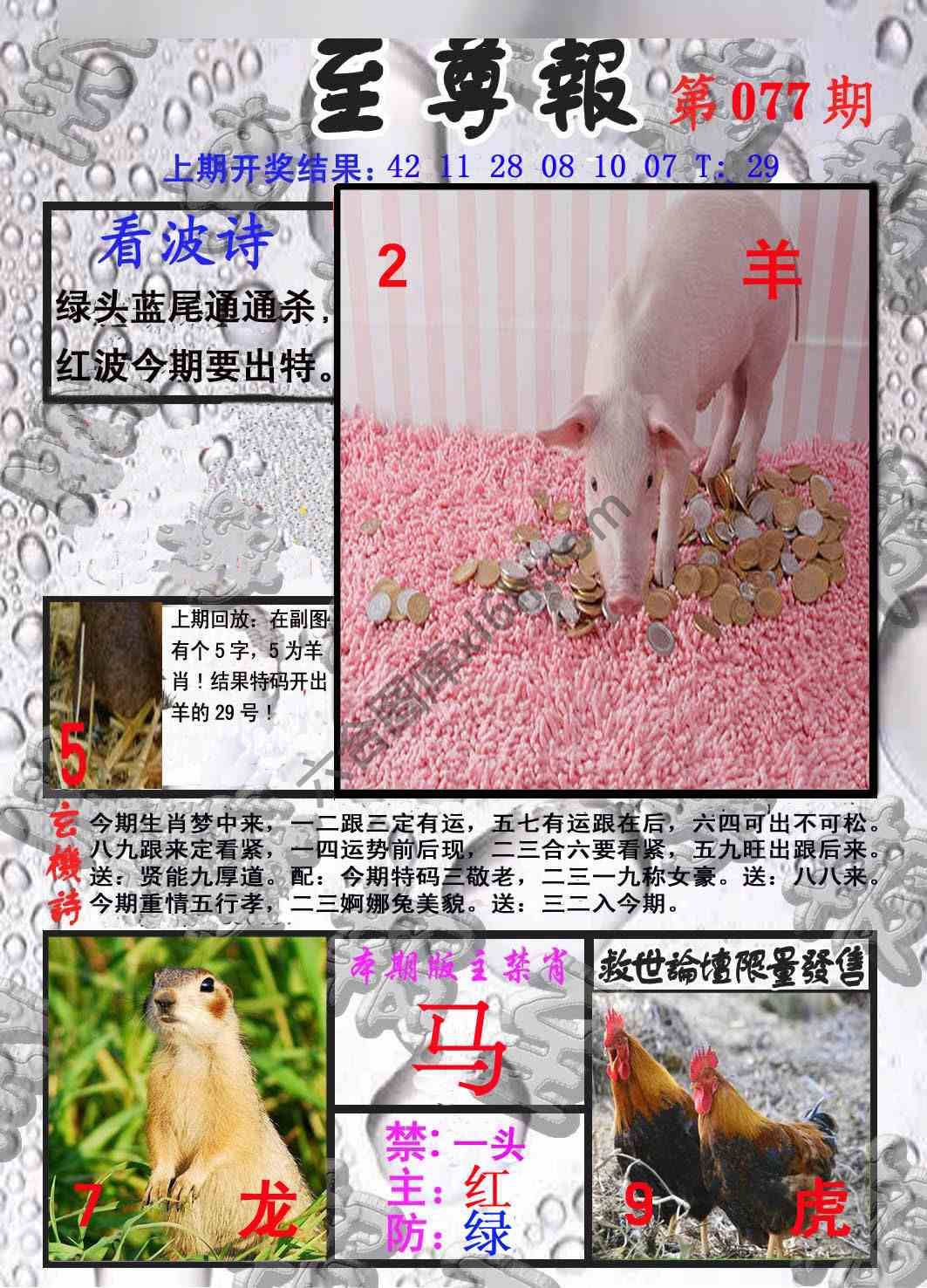 至尊报