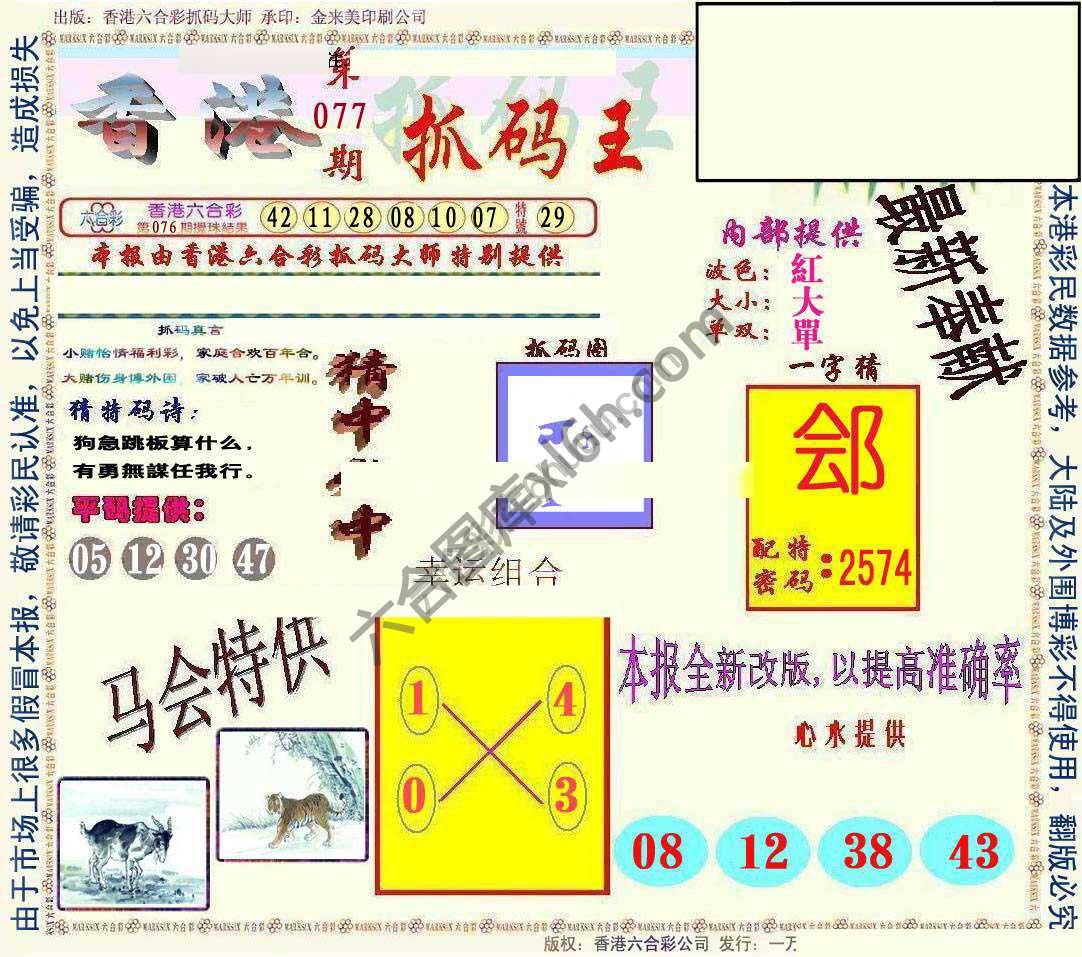 新抓码王