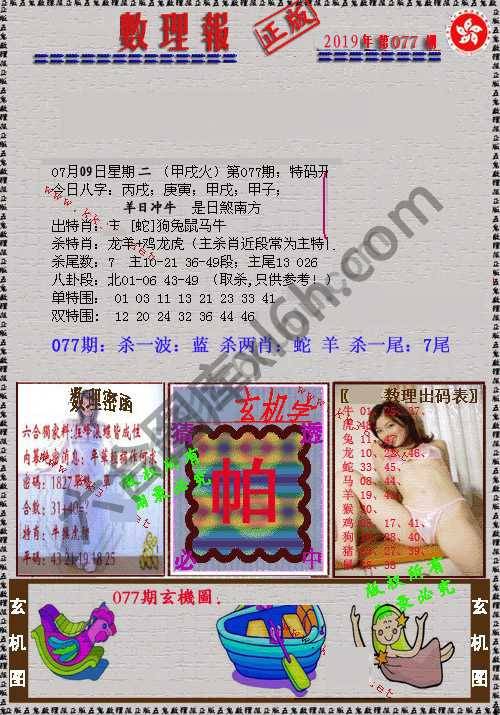 数理报