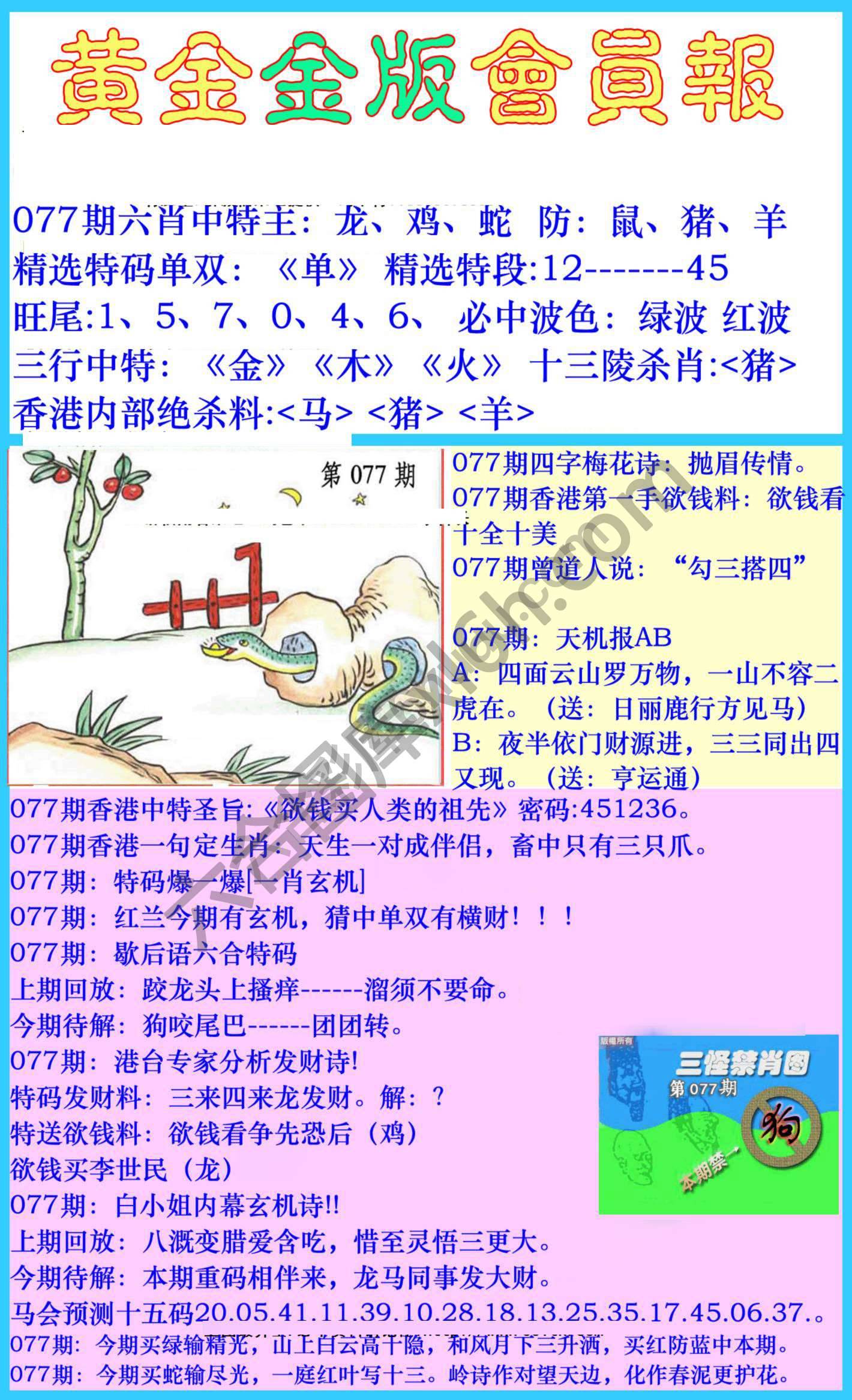 黄金金版会员报