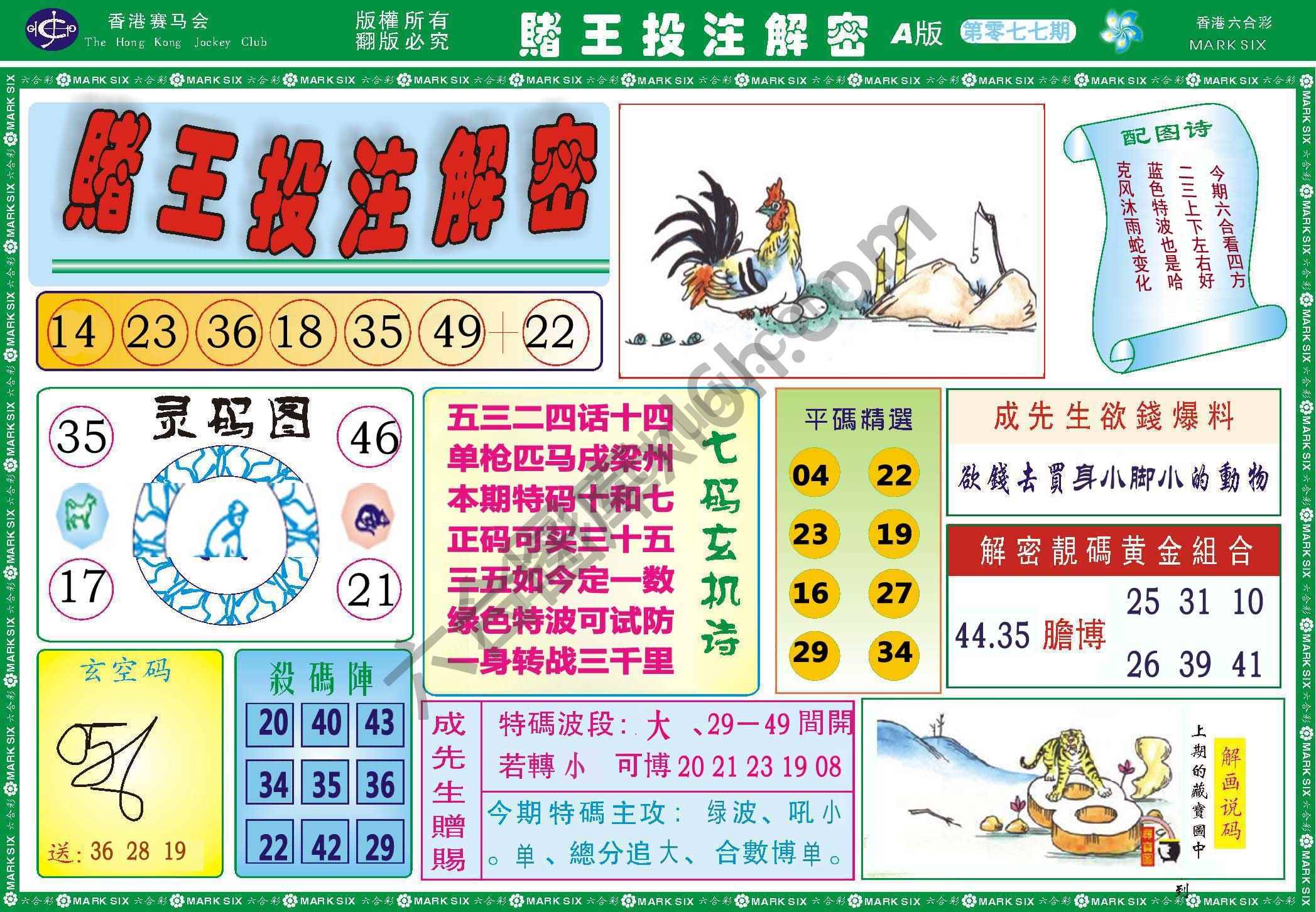 赌王投注解密