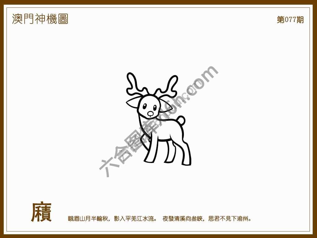 澳门神机图