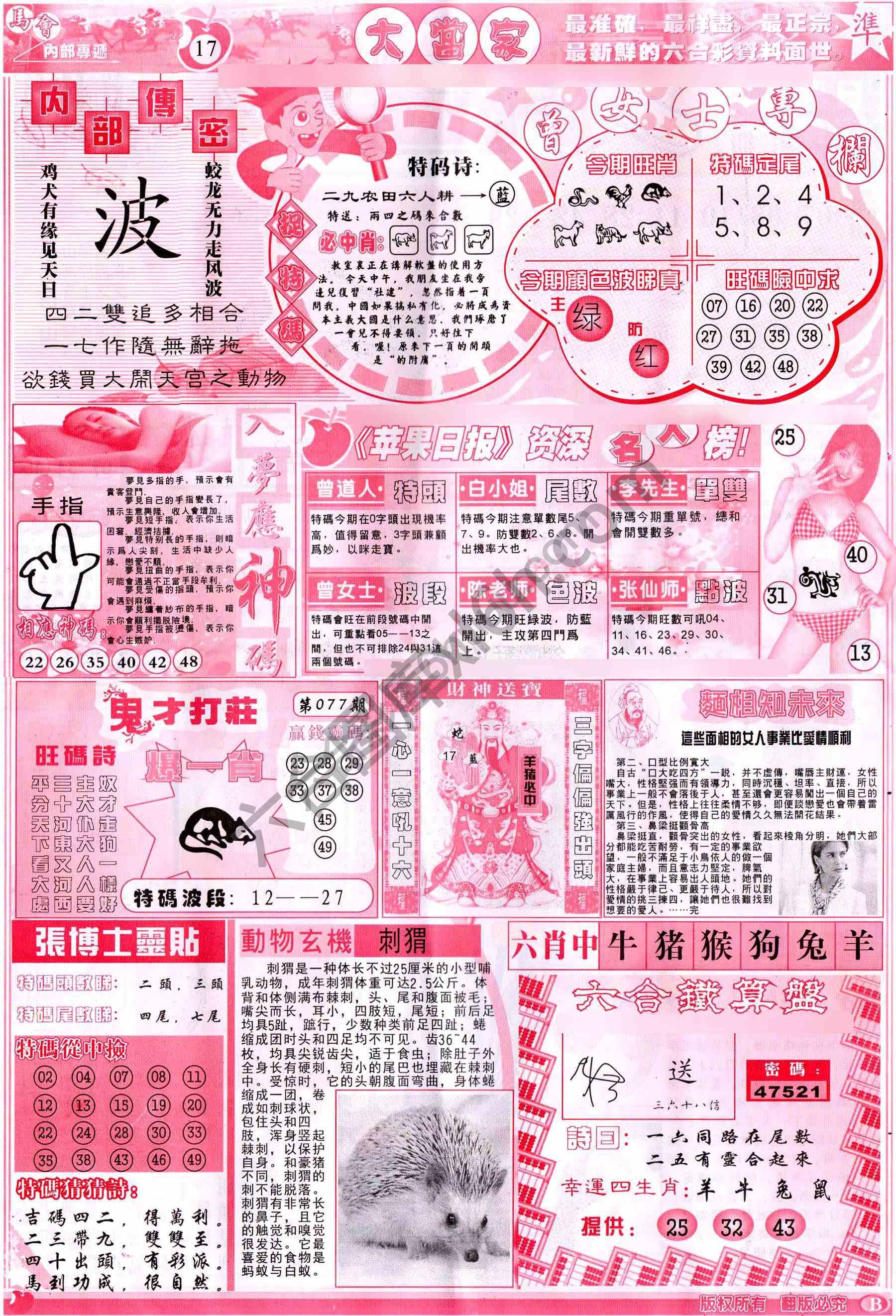 大当家