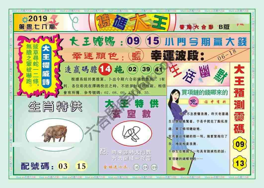 特码大王