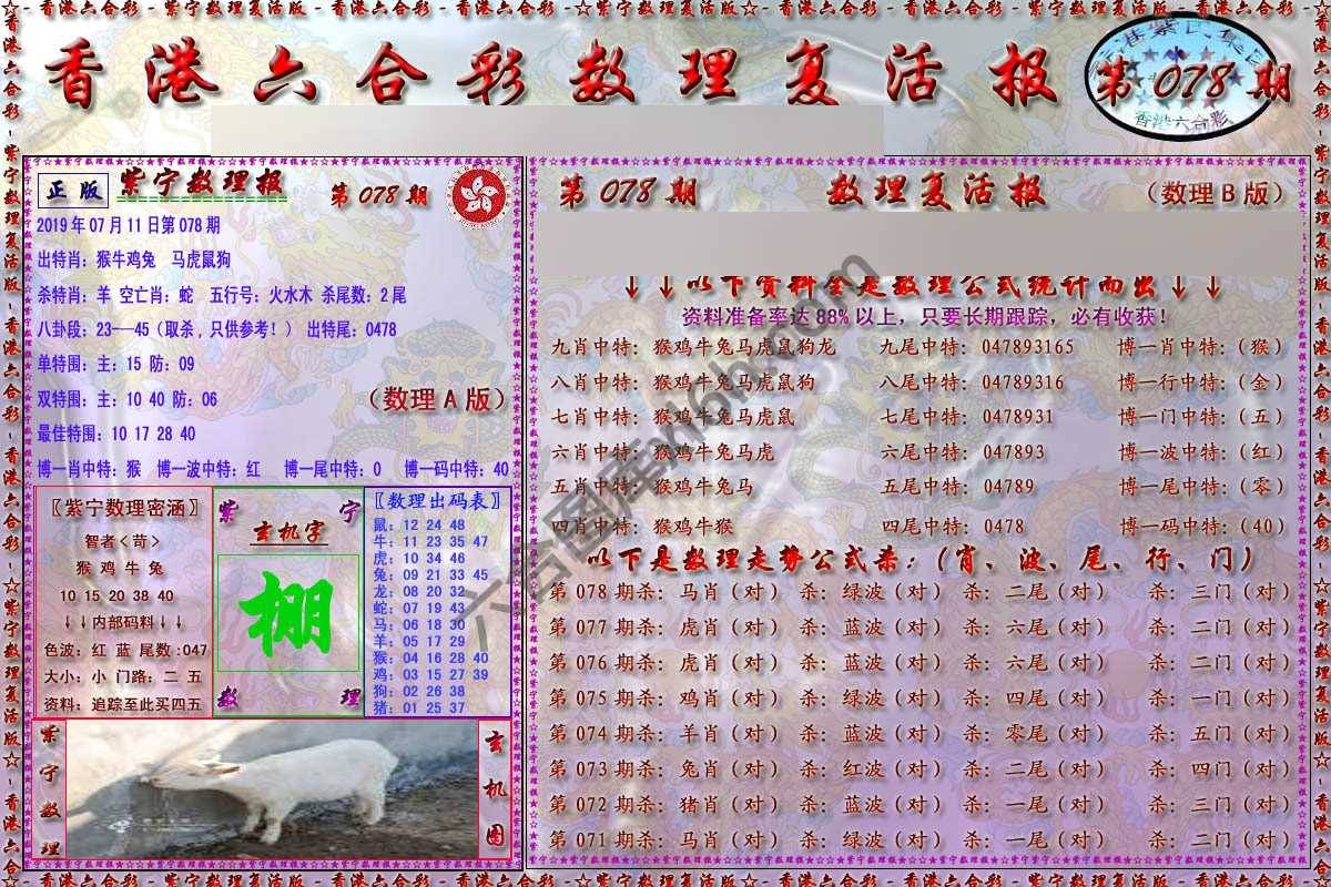 数理复活报