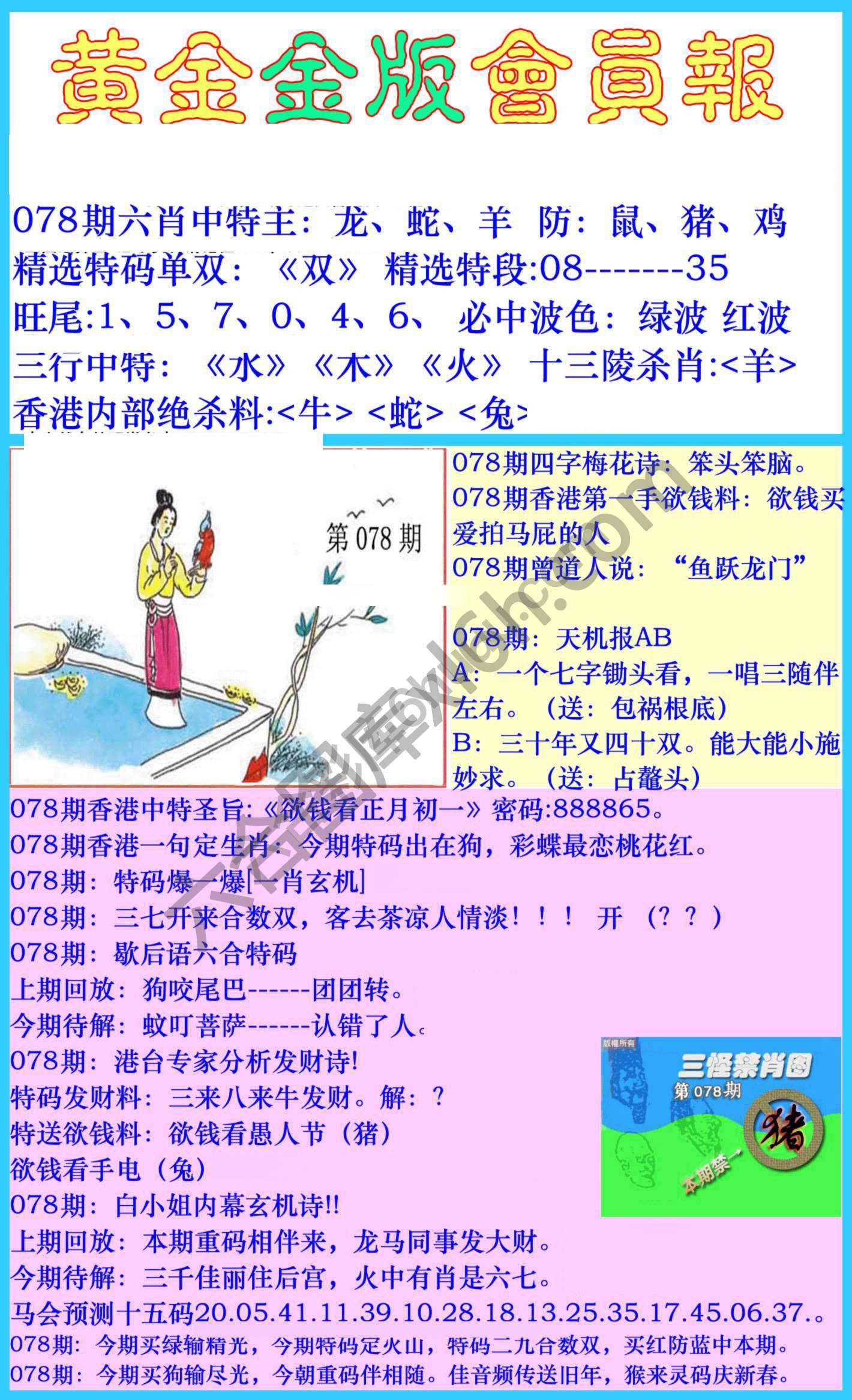 黄金金版会员报