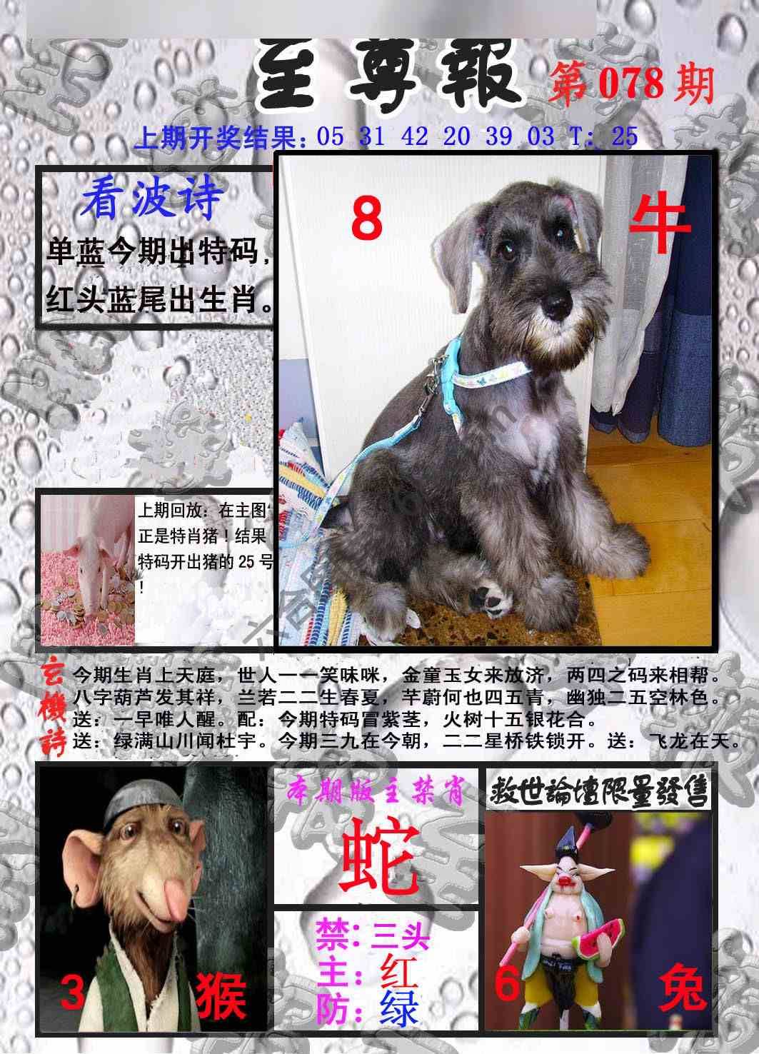 至尊报