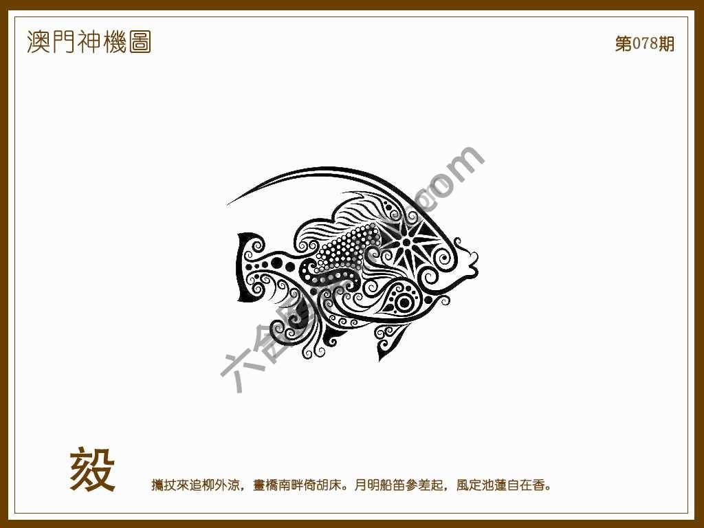 澳门神机图