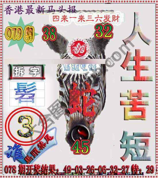 香港马头报