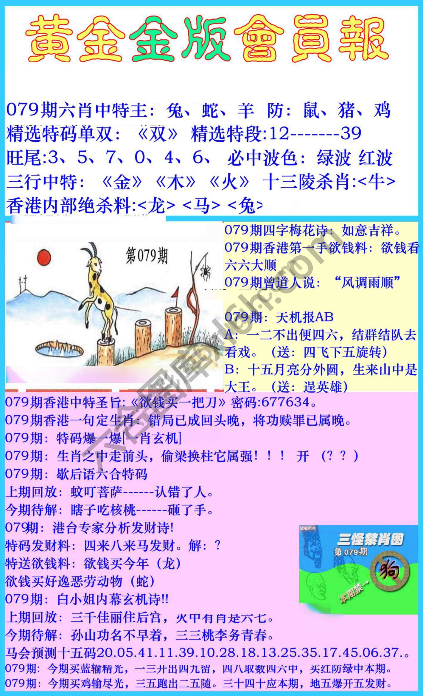 黄金金版会员报
