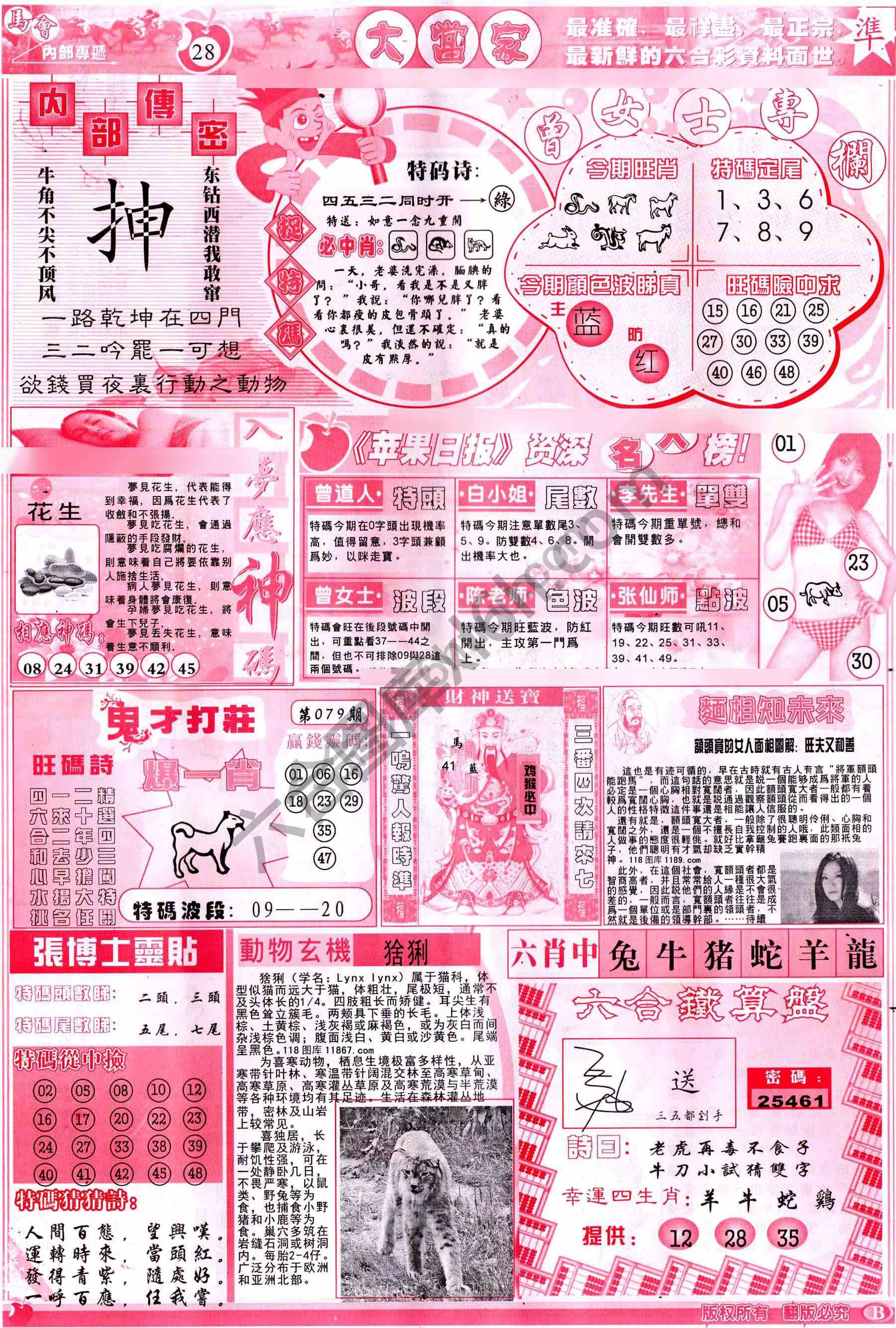 大当家