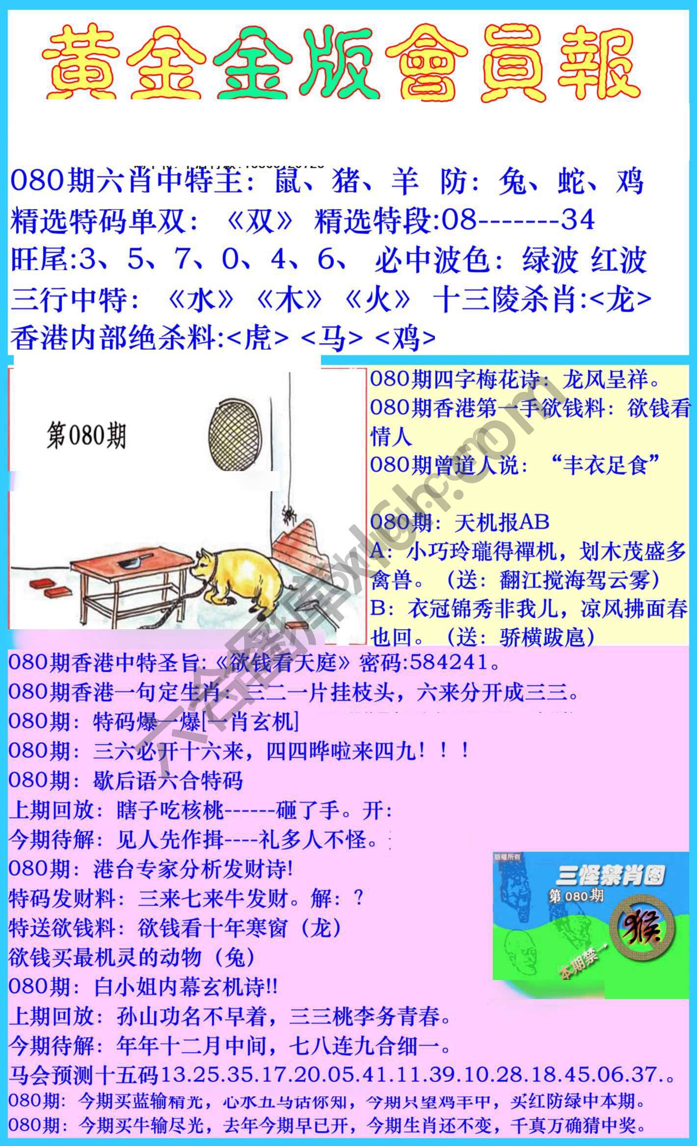 黄金金版会员报